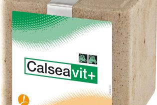Calseabloc Mineralenlikblok - Calseavit